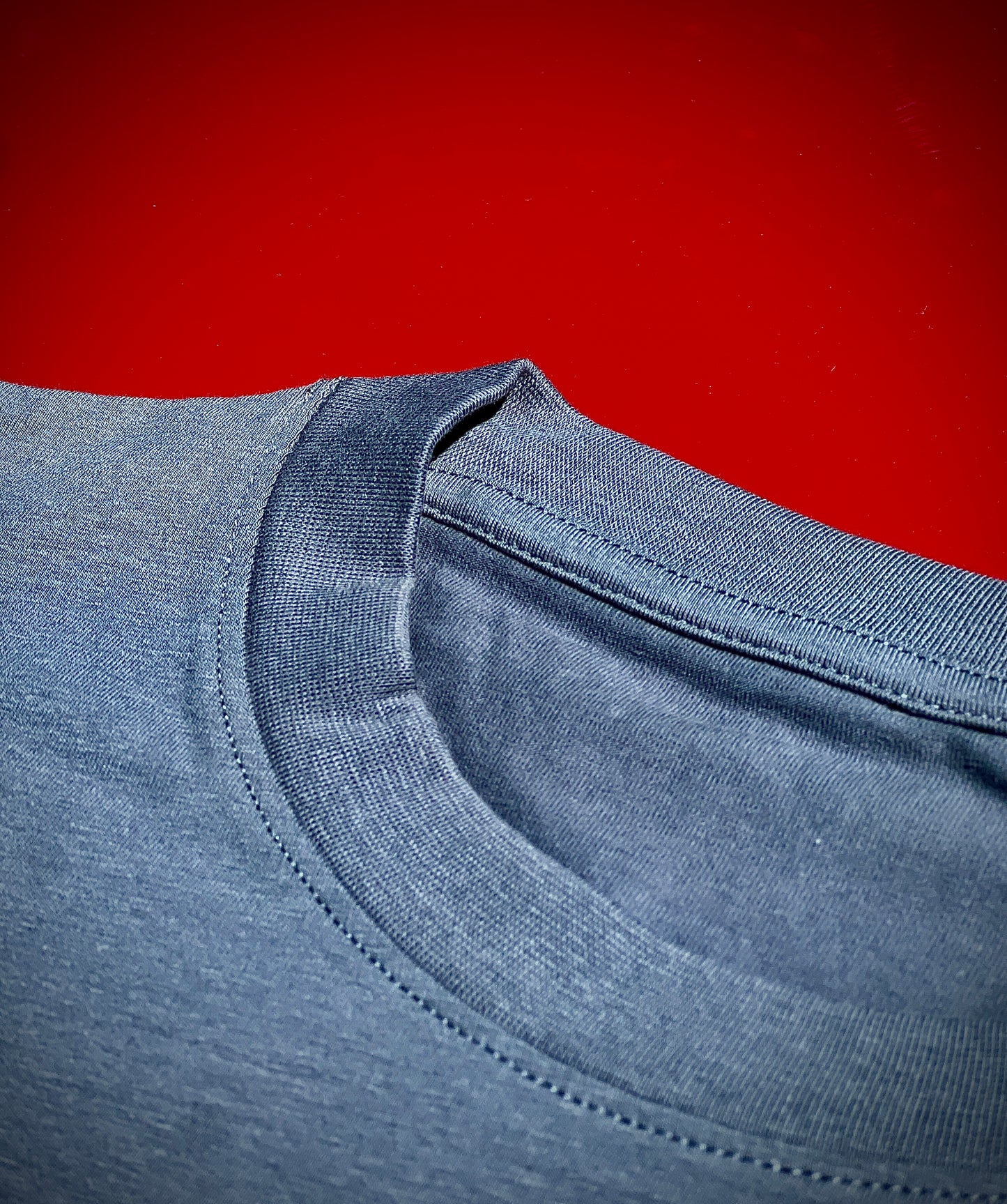 T-SHIRT "ZEBR'ADYX" - GRIS