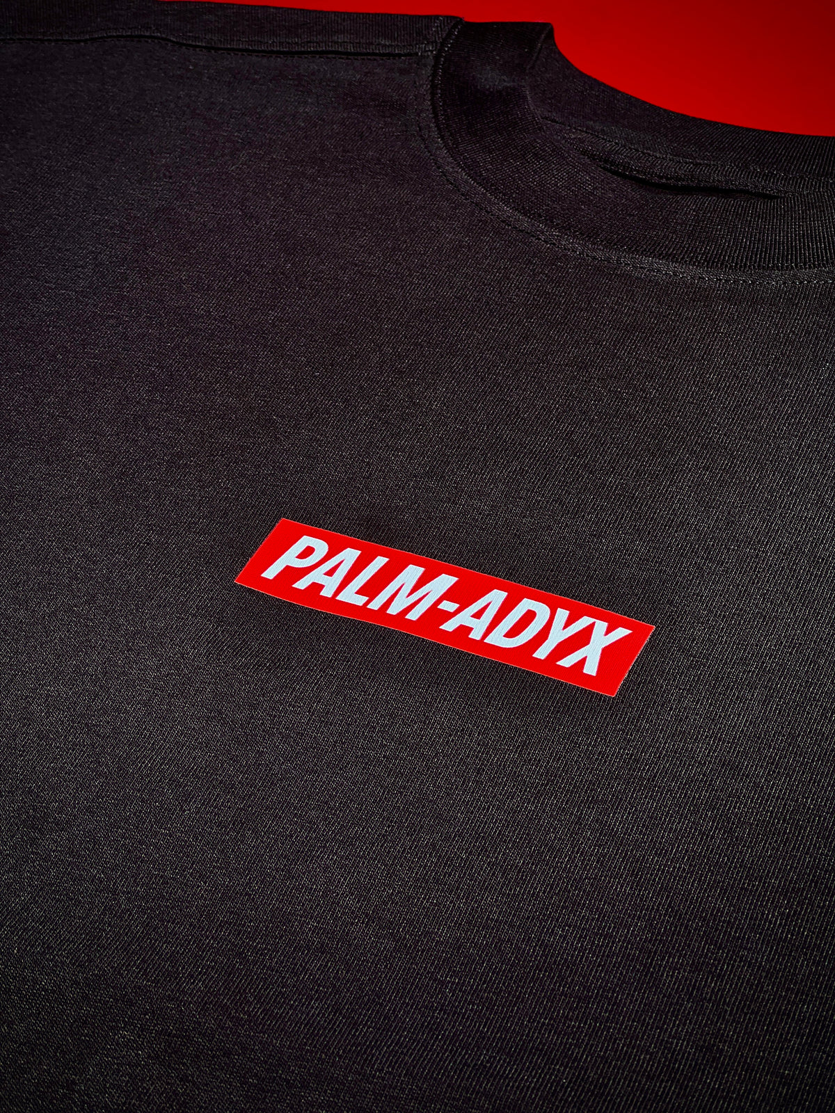 T-SHIRT "ZEBR'ADYX" - NOIR