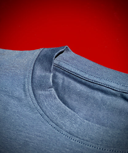 T-SHIRT "ZEBR'ADYX" - GRIS
