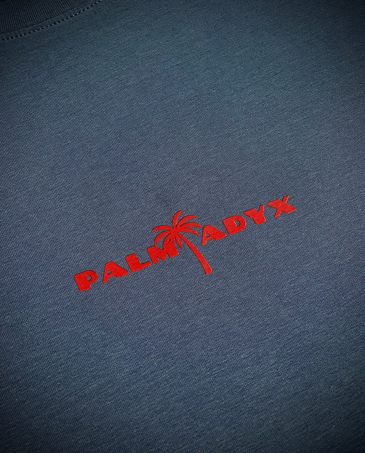 T-SHIRT "ZEBR'ADYX" - GRIS