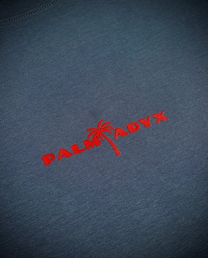 T-SHIRT "ZEBR'ADYX" - GRIS